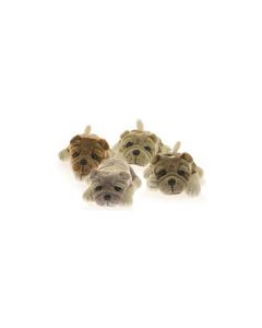 Four Color Mini Bulldog