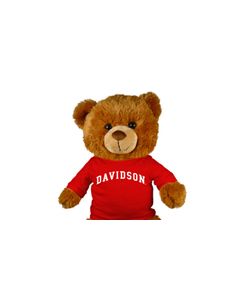 Davidson College Jersey Bear 18in