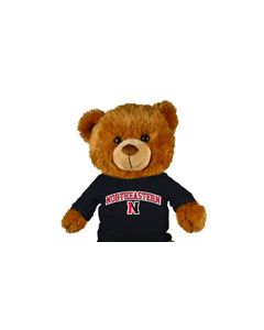 Northeastern Jersey Bear 18in