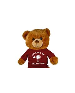 Charleston Jersey Bear 18in
