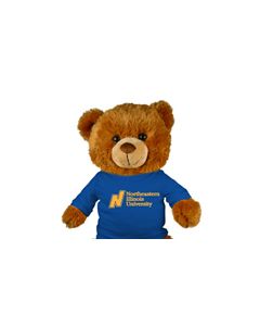 Northeastern Illinois Jersey Bear 18in