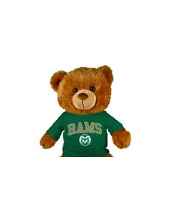 Colorado State Jersey Bear 18in