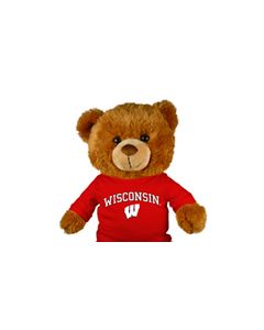 Wisconsin Jersey Bear 18in