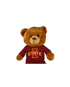Iowa State Jersey Bear 18in