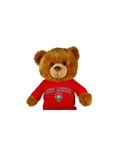 New Mexico Jersey Bear 18in