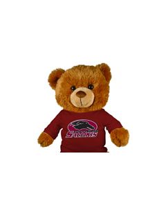 Southern Illinois Jersey Bear 18in