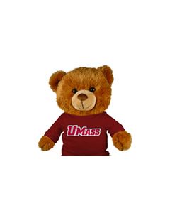 Massachusetts Jersey Bear 18in