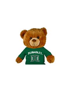 Hawaii Jersey Bear 18in