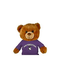 Northwestern Jersey Bear 18in