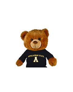 Appalachian State Jersey Bear 18"