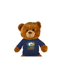 UC Davis Jersey Bear 18in