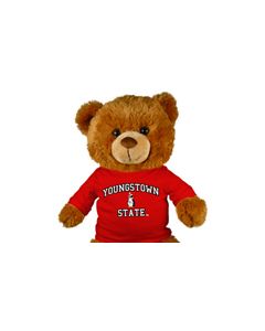 Youngstown State Jersey Bear 18in