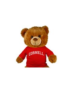 Cornell Jersey Bear 18in