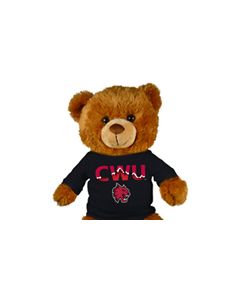 Central Washington Jersey Bear 18in