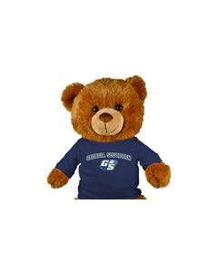 Georgia Southern Jersey Bear 18in