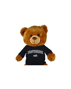 Providence College Jersey Bear 18in