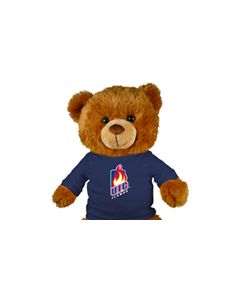 Illinois Chicago Jersey Bear 18in