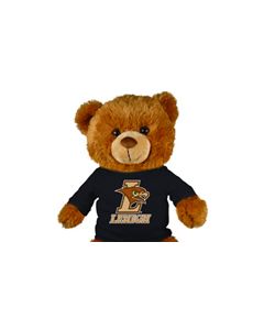 Lehigh Jersey Bear 18in
