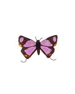 Butterfly Finger Puppet w/Suction Cups 16"