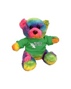 6" Rainbow Bear