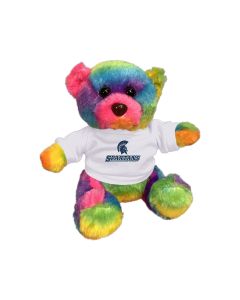 6" Rainbow Bear