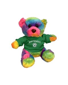 6" Rainbow Bear