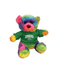6" Rainbow Bear