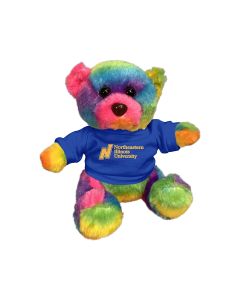 6" Rainbow Bear