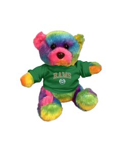 6" Rainbow Bear
