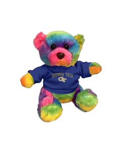 6" Rainbow Bear