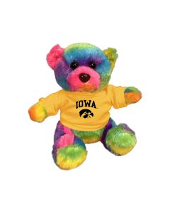 6" Rainbow Bear