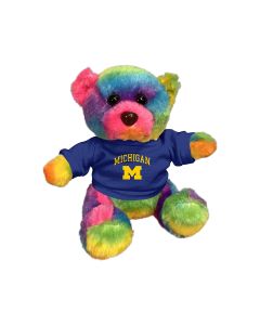 6" Rainbow Bear