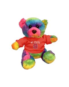 6" Rainbow Bear