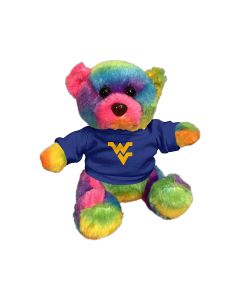 6" Rainbow Bear
