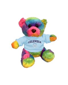6" Rainbow Bear