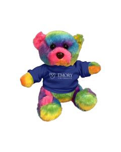 6" Rainbow Bear