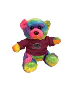 6" Rainbow Bear