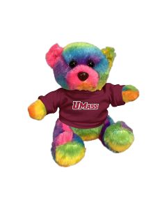 6" Rainbow Bear