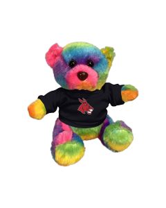 6" Rainbow Bear