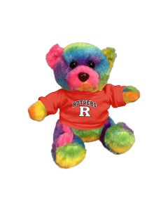 6" Rainbow Bear