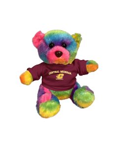 6" Rainbow Bear