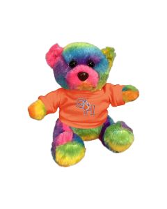6" Rainbow Bear