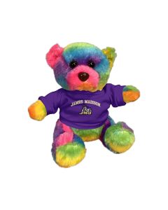 6" Rainbow Bear