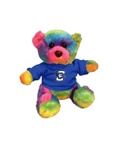6" Rainbow Bear