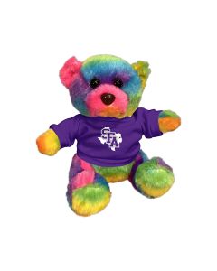 6" Rainbow Bear