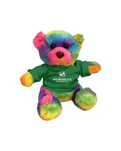 6" Rainbow Bear