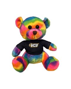 11" Rainbow Bear