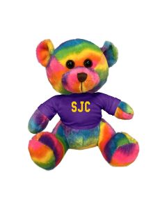 11" Rainbow Bear