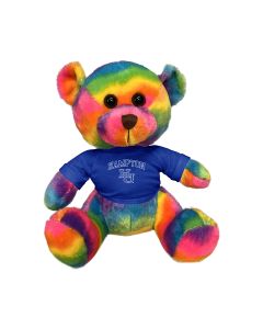 11" Rainbow Bear