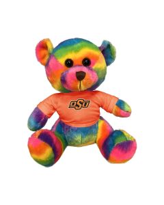 11" Rainbow Bear